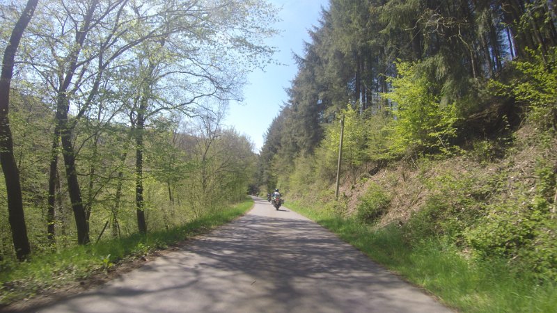 G0033584
