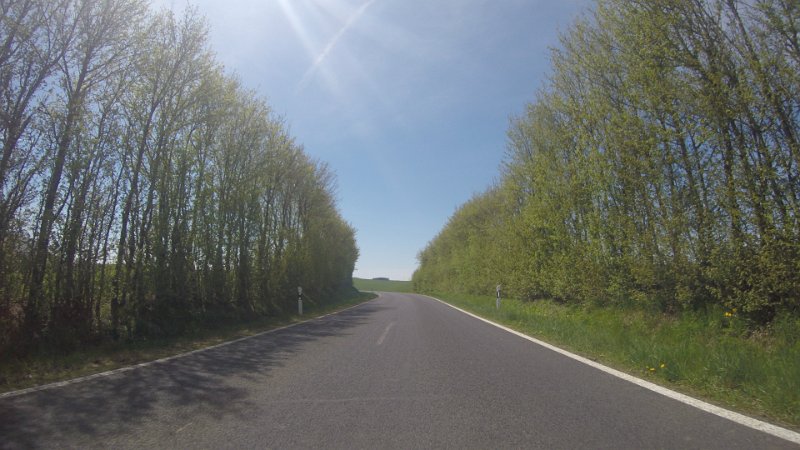 G0033768