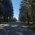 G0047041