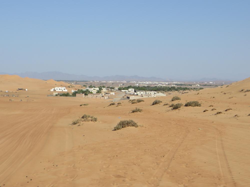 IMG 7087