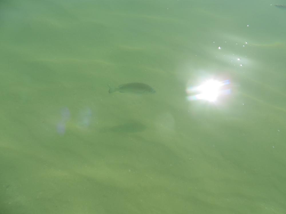 IMG 7698