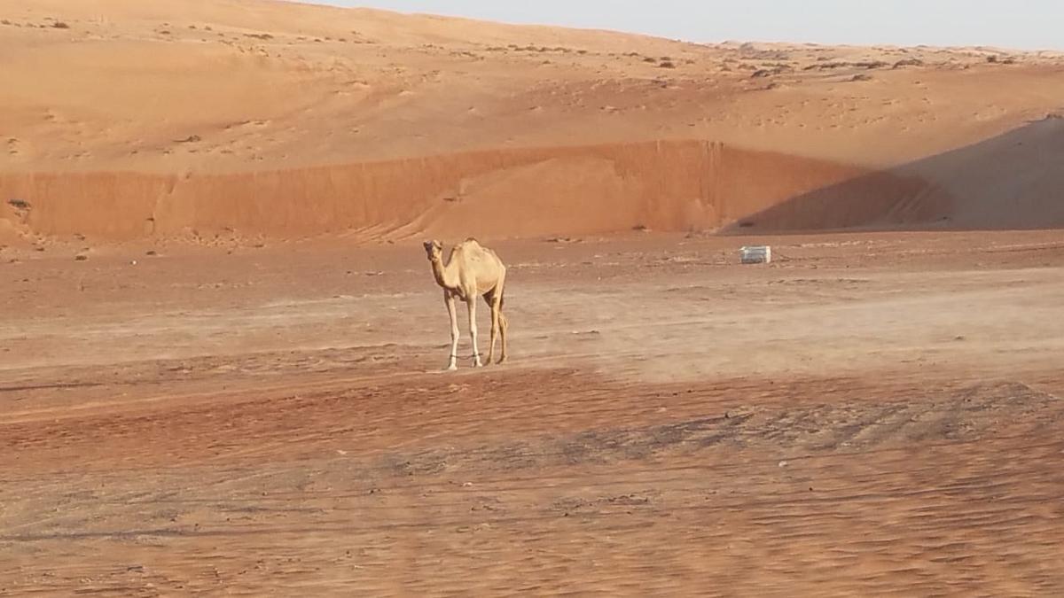 IMG-20181007-WA0013