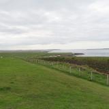 IMG 5441
