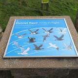 IMG 5457