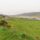 IMG 5464