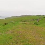 IMG 5466