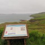 IMG 5467