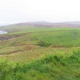 IMG 5468