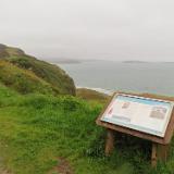 IMG 5469