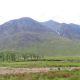 IMG 5560