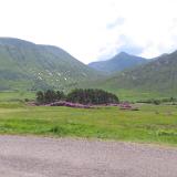 IMG 5561