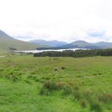IMG 5573