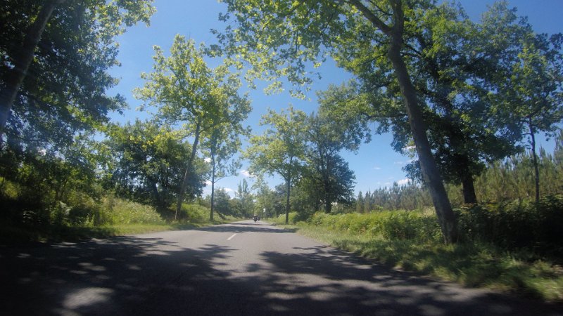 G0036520