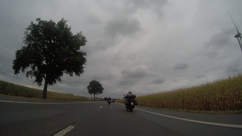 G0016231