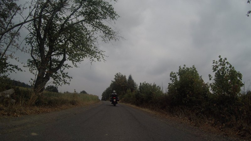 G0037254