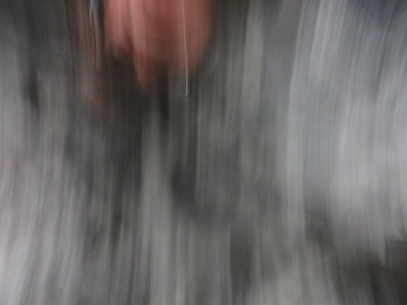 IMG 0448