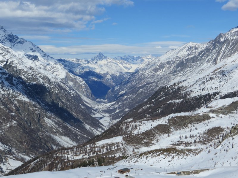 IMG 0622